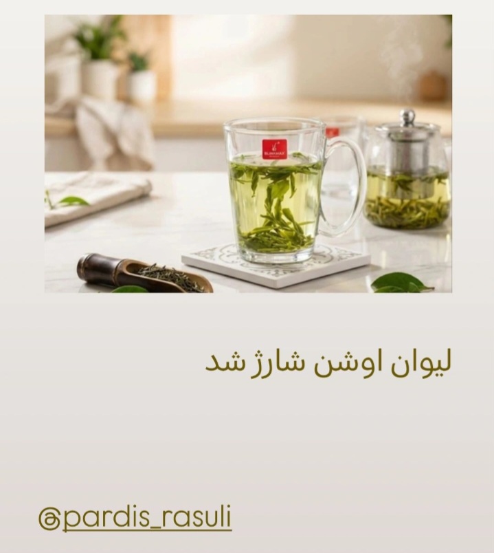 لیوان اوشن بلینک مکس چین